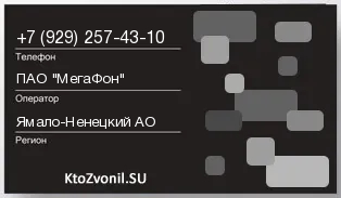 Кто звонил с 9292574310 - регион и оператор